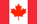 LANGUAGE_ICON